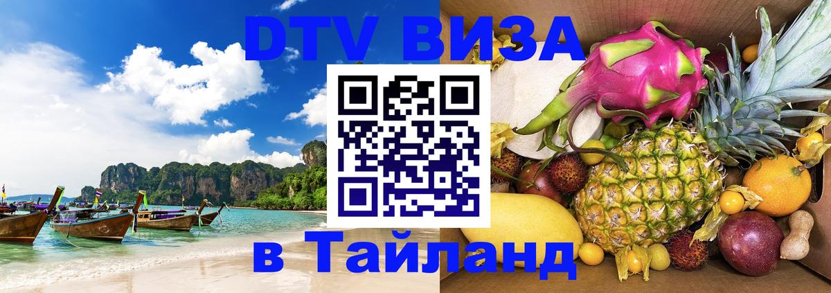 Оформление DTV визы под ключ: стоимость и тарифы, только загранпаспорт - 04.12.2025 